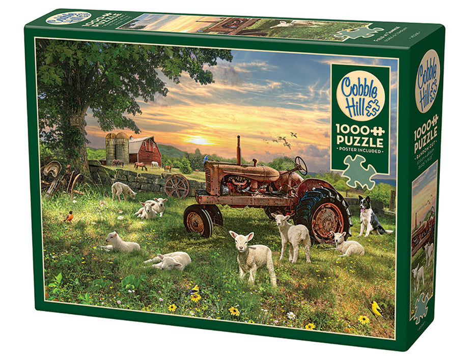 Cobble Hill 'Field at Sunrise' Jigsaw Puzzle - 1000 Piece