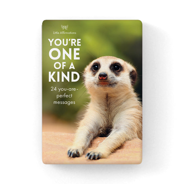 You're One Of A Kind - 24 Animal Affirmation Cards
