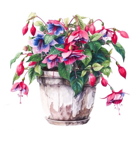 Pot of Colour Card