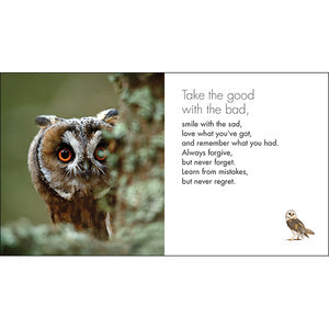 A Little Book Of Owl Wisdom