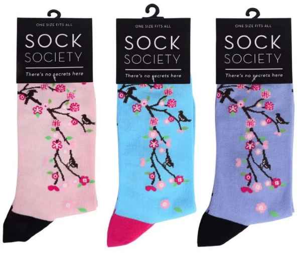 Sock Society - Cherry Blossom