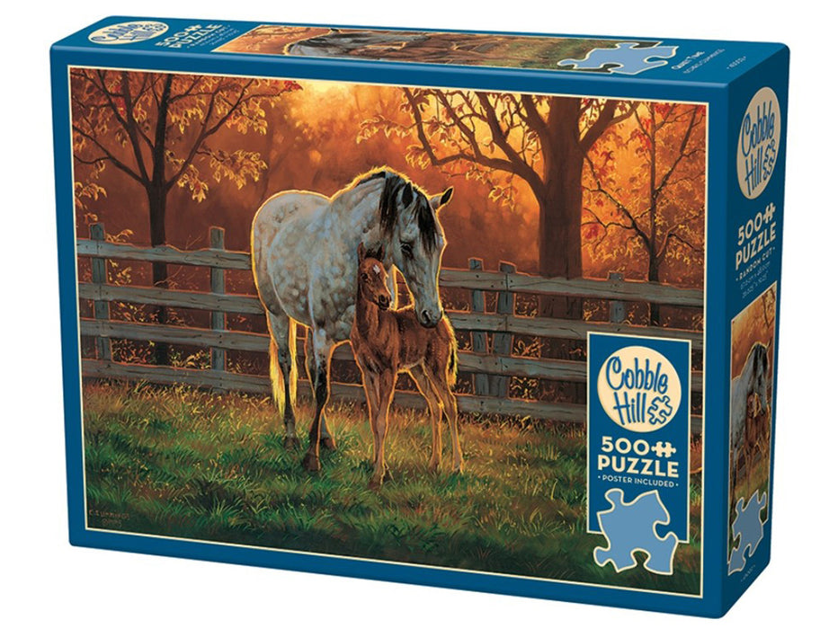 Cobble Hill 'Quiet Time' Jigsaw Puzzle - 500 Piece