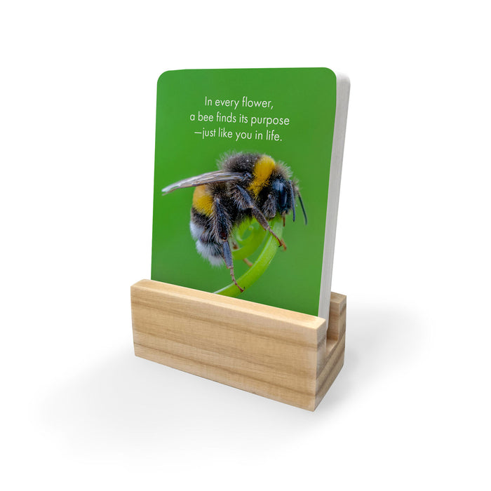 Believe in Yourself - 24 Affirmations Cards with Stand