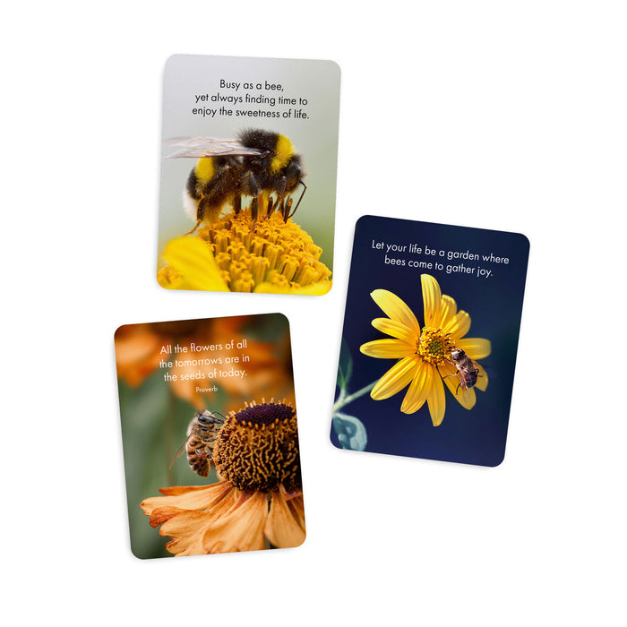Believe in Yourself - 24 Affirmations Cards with Stand