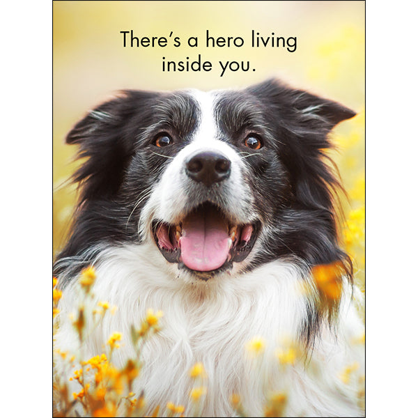 You're One Of A Kind - 24 Animal Affirmation Cards