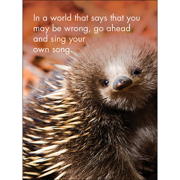 You're One Of A Kind - 24 Animal Affirmation Cards