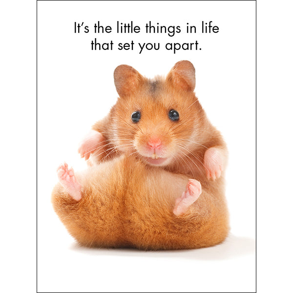 You're One Of A Kind - 24 Animal Affirmation Cards