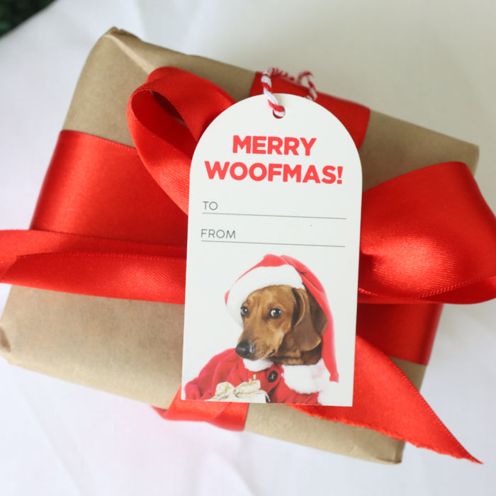 Christmas Gift Tags (6 Pk) - Asst