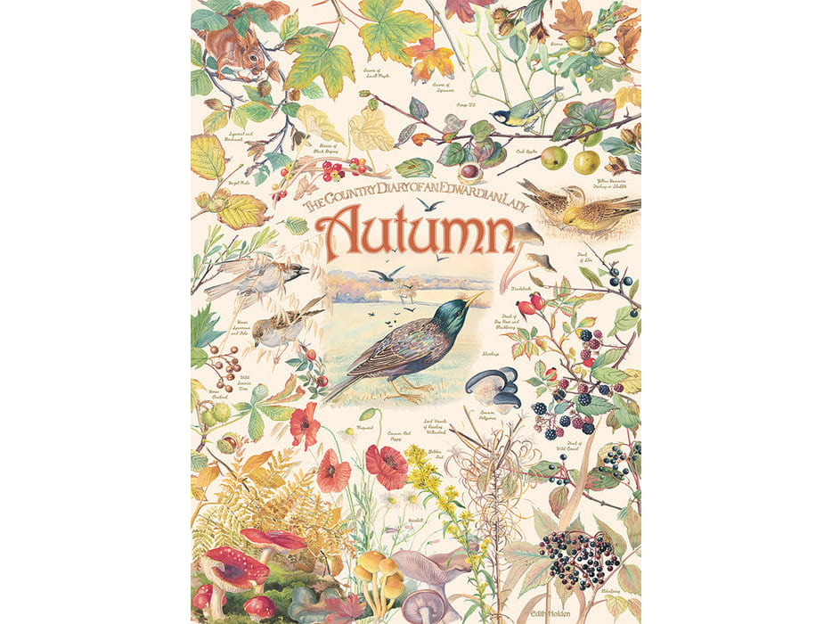Cobble Hill 'Country Diary: Autumn' Jigsaw Puzzle - 1000 Piece
