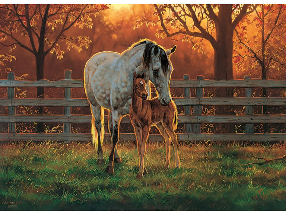 Cobble Hill 'Quiet Time' Jigsaw Puzzle - 500 Piece