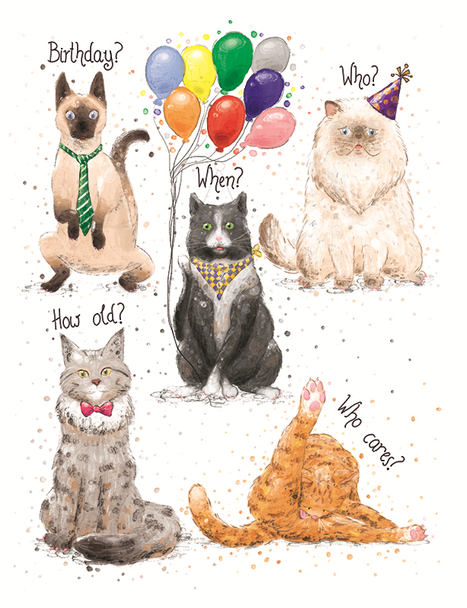 Happy Birthday - Birthday Cats Card