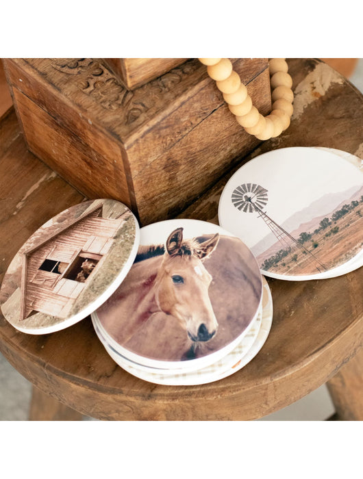 Rustic Meadow Foal Ceramic Coaster