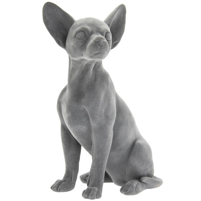 Grey Velvet Chihuahua