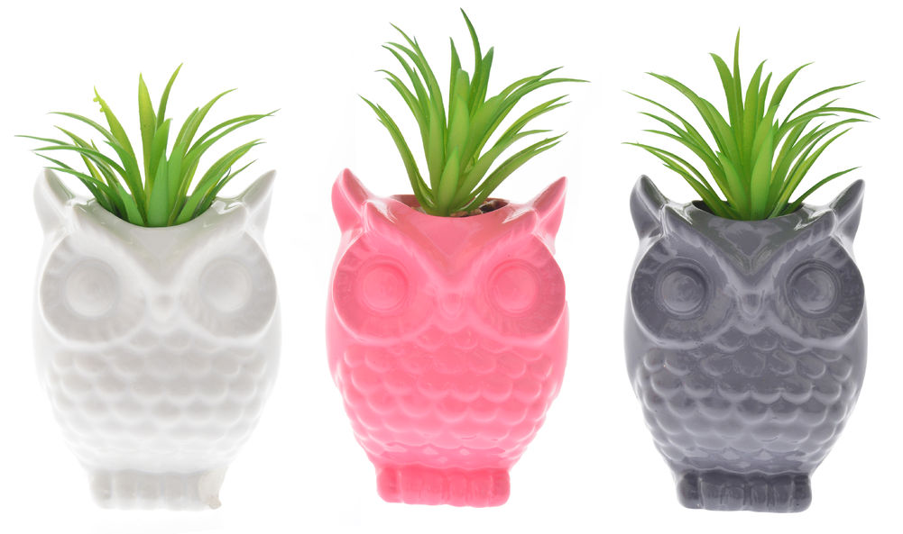 Owl Mini Pots - Asst