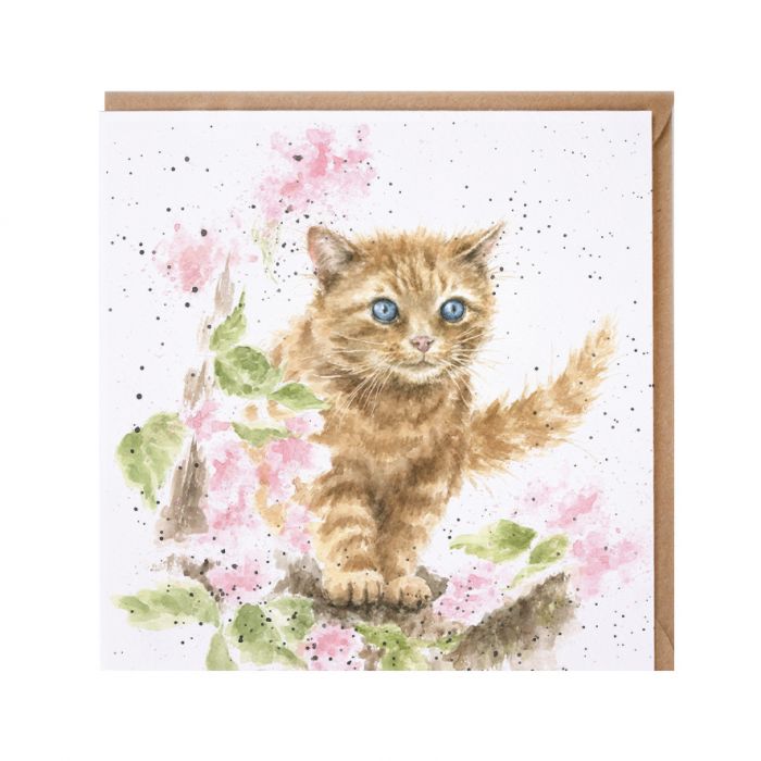 Wrendale Designs Card - 'The Marmalade Cat'
