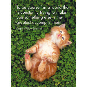 Kitten Tales - 24 Affirmation Cards with Stand