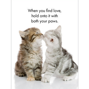 The Cat’s Whiskers - 24 Affirmations Cards on Stand