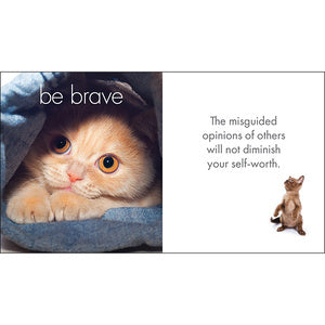 Little Book Of Purrfection
