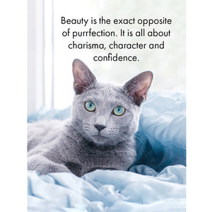 The Cat’s Whiskers - 24 Affirmations Cards on Stand