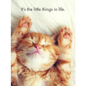 Kitten Tales - 24 Affirmation Cards with Stand