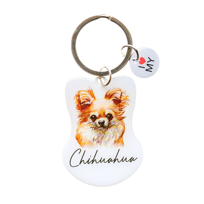 Pet Keyring - Asst Styles